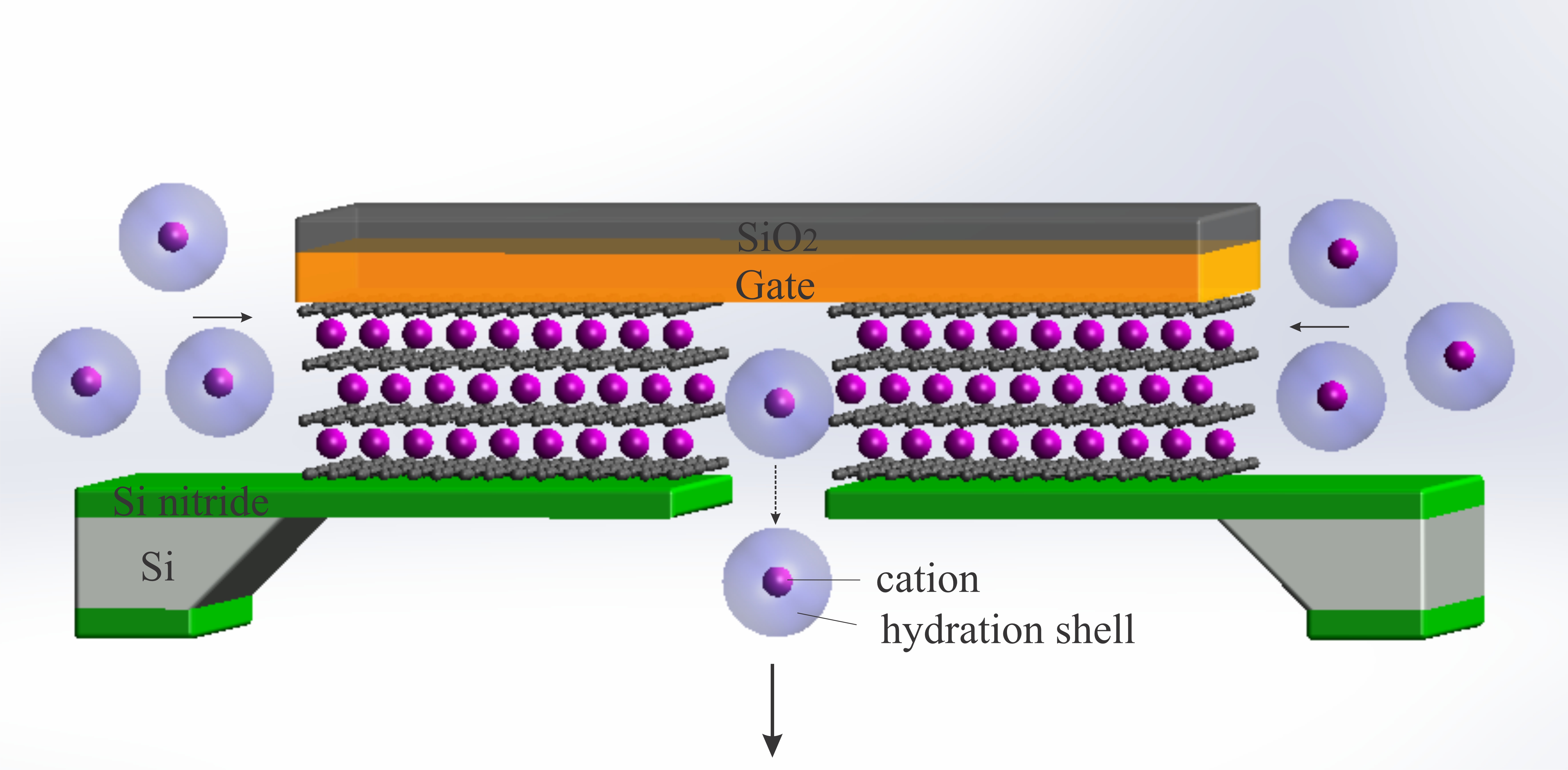  将离子晶体管缩小到极限 - 由 3 埃大小的石墨烯通道制成的原子级离子晶体管的示意图。施加电势以模拟生物通道壁上的电荷，并使离子嵌入和可渗透的离子传输超过渗透阈值。 
