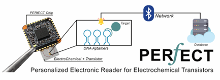 Diagram of how the process of Personalised Electronic Reader for Electrochemical Transistors