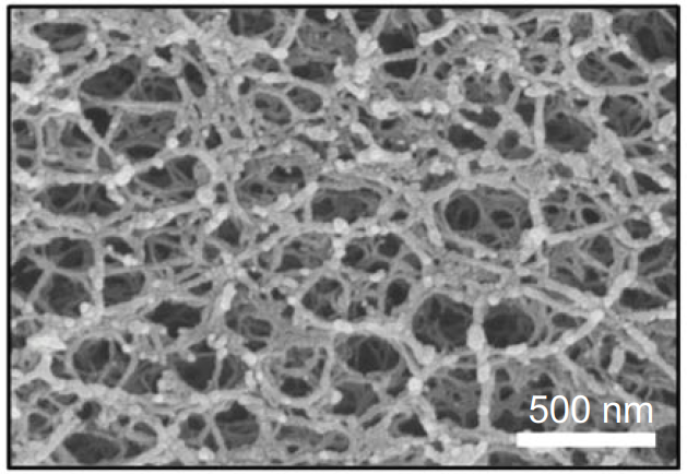 扫描电子显微镜所显示气凝胶的微观结构