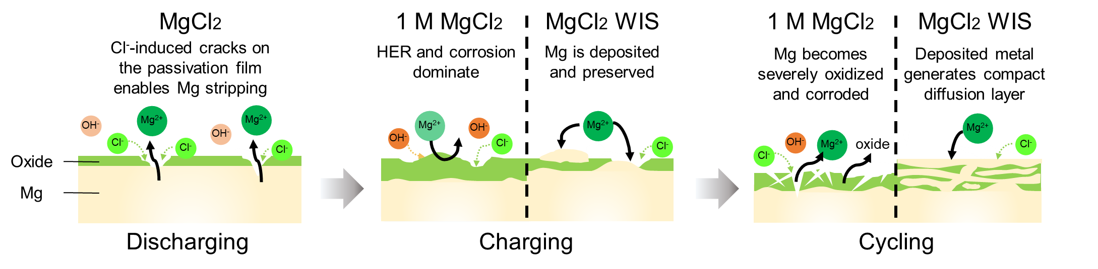 Schematic structure of the aqueous Mg battery developed by the research team