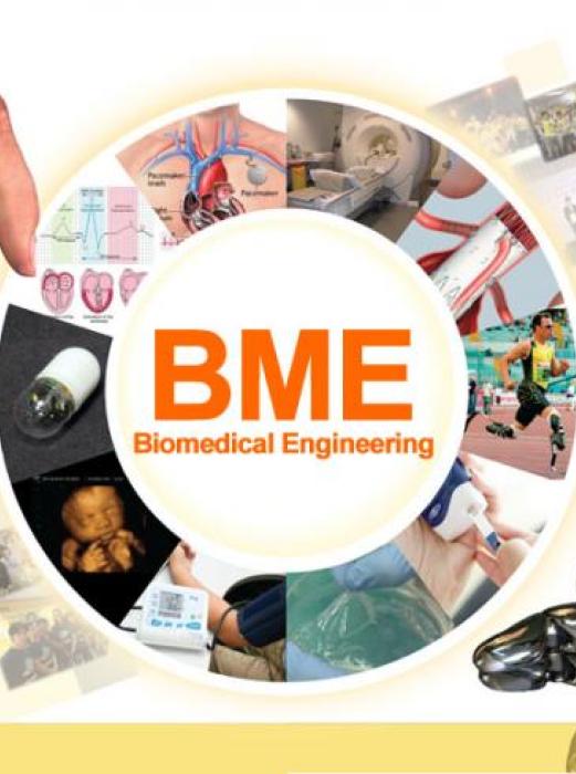 BME Programme