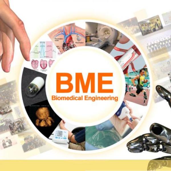 BME Programme