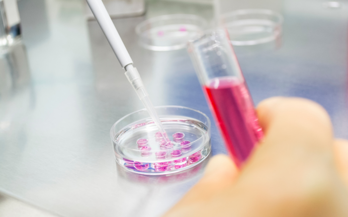 Test tubes with red liquid 