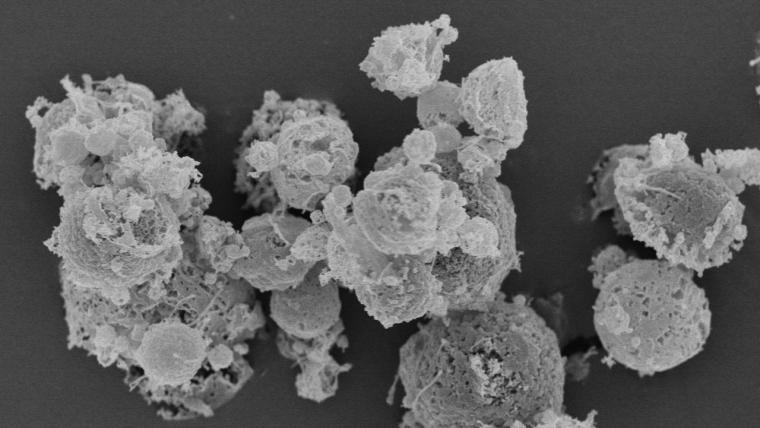 SEM image of ‘inhaled tamibarotene powder formulation’ at x5,000 magnification.