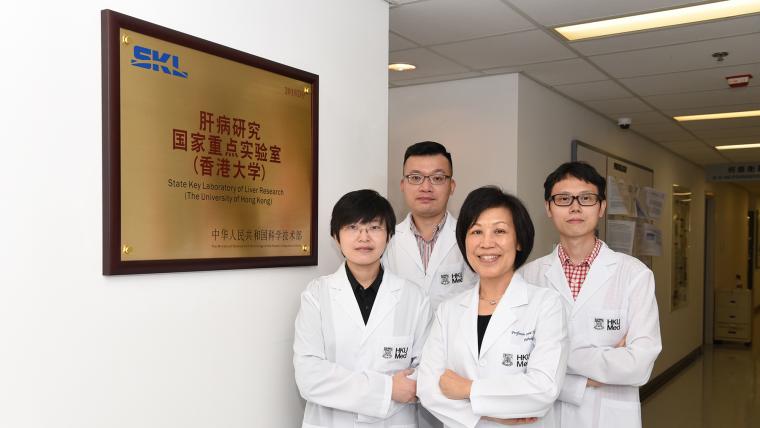 (front row from right): Professor Irene Ng, Chair Professor of the Department of Pathology, Loke Yew Professor in Pathology, HKUMed and Director of the State Key Laboratory of Liver Research (HKU); Dr Karen Sze Man-fong, Assistant Research Officer, Department of Pathology, HKUMed; (back row from right) Dr Tsui Yu-man, Post-doctoral Fellow and Dr Daniel Ho Wai-hung, Assistant Professor, Department of Pathology, HKUMed.