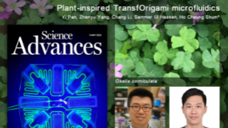 The paper “Plant-inspired TransfOrigami microfluidics” has been featured on the cover of Science Advances for May 6 2022 issue. The research team (from left) Professor Anderson H.C. Shum and Dr Yi Pan from the Department of Mechanical Engineering, HKU. The background image is Oxalis corniculata.