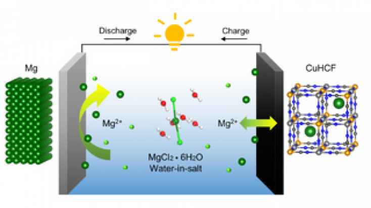 Schematic structure of the aqueous Mg metal battery developed by the research team